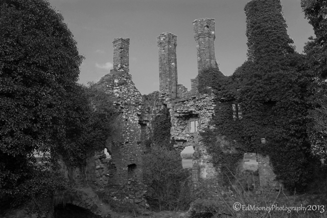 Carbury Castle (12)
