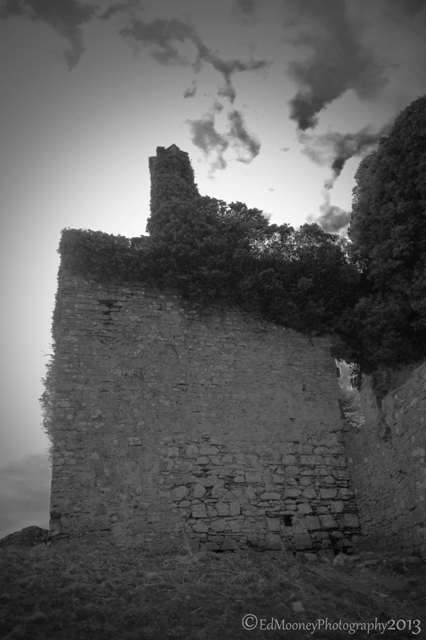 Carbury Castle (3)