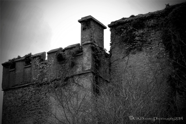 Donadea Castle (12)