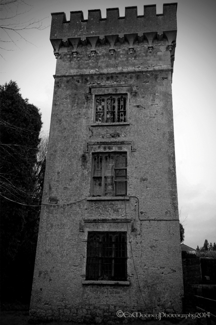 Donadea Castle (20)
