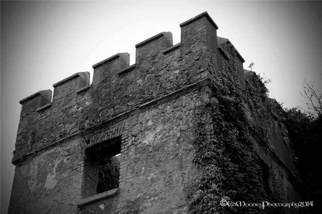 Donadea Castle (4)