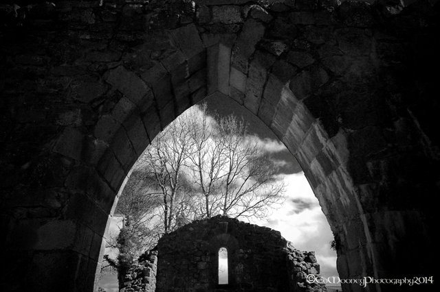 Coolbanagher Medieval Ruin (16)