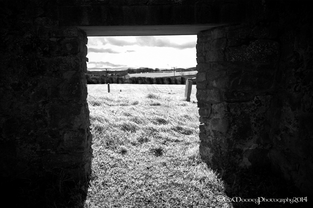 Coolbanagher Medieval Ruin (21)