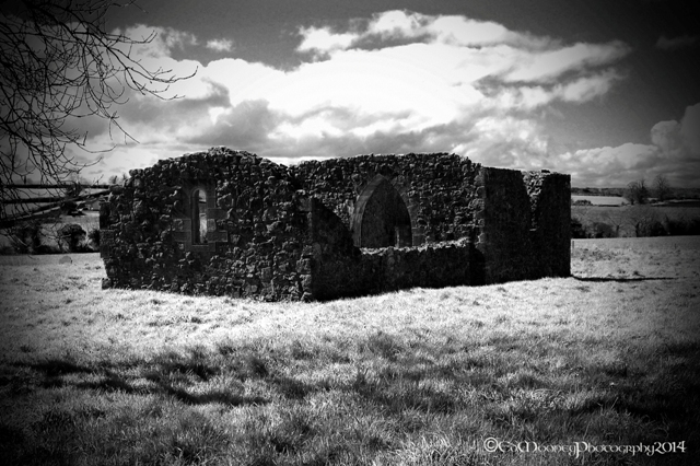 Coolbanagher Medieval Ruin (4)
