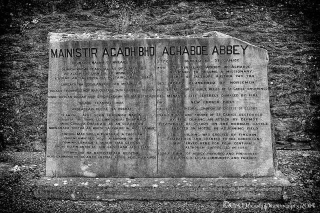 Aghaboe Abbey (4)