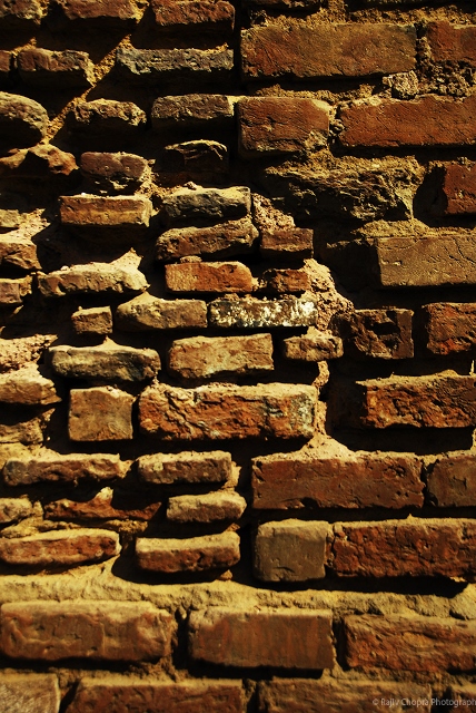 BricksOnTheWall-RajivChopra (428x640)